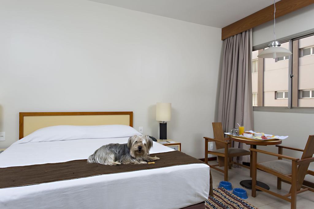 Stream Palace Hotel (Adults Only) Ribeirao Preto Bagian luar foto